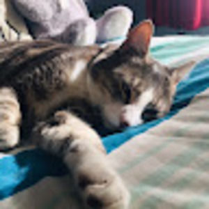 Meet your Posher, Tegan